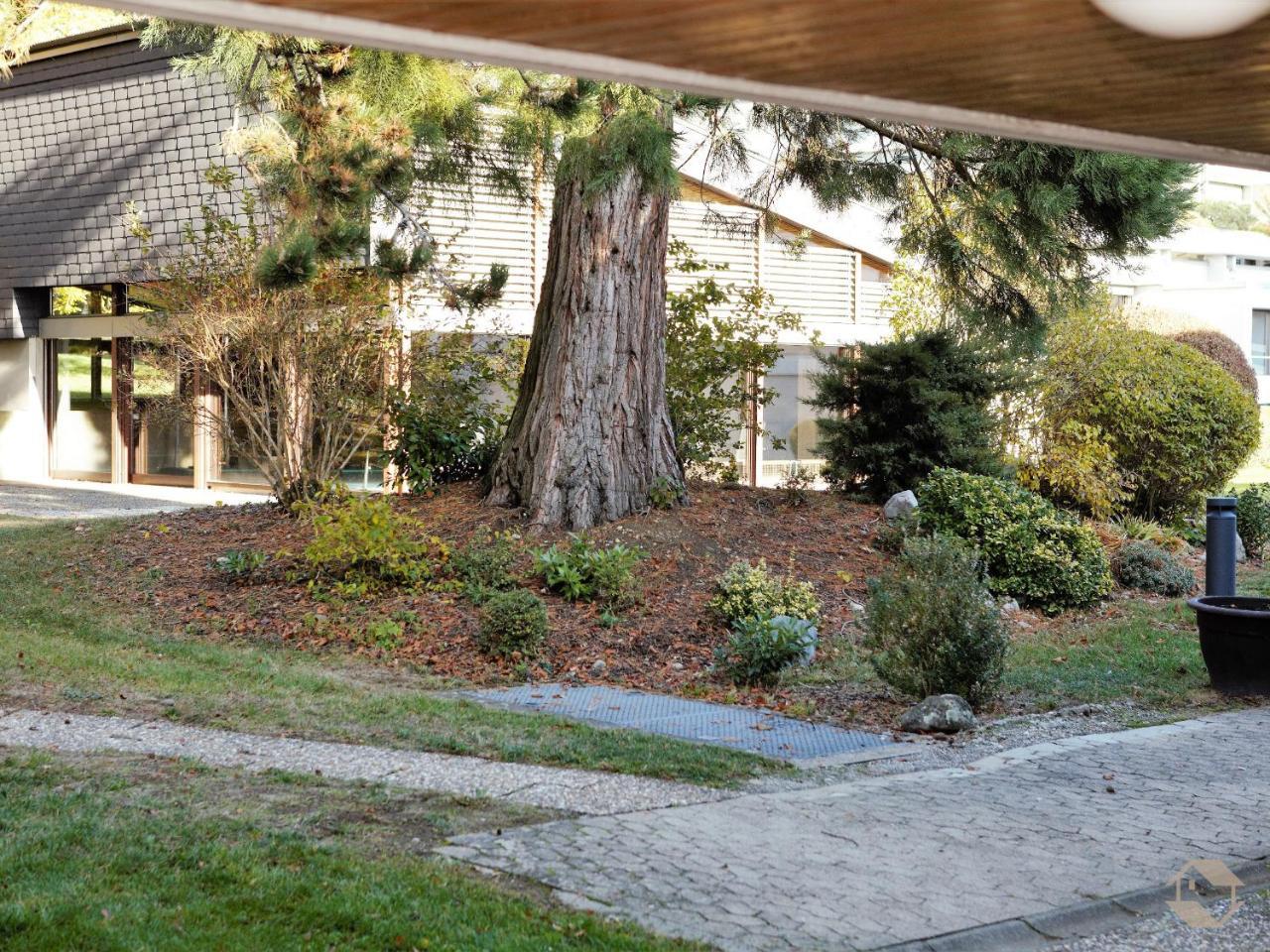 Konigsegg Ines Koch Apartment Reichenau